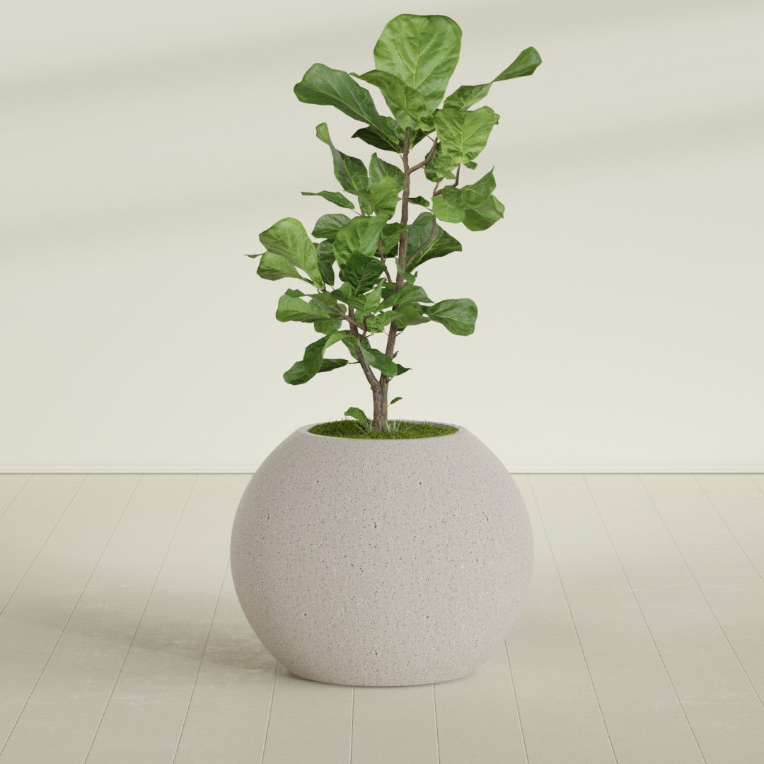 Globe - 30in diam. x 24in - StoneLight - Pearlstone - StoneLight - Pearlstone,30 in x 30 in x 25 in