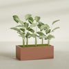 Torino Extra Large Wide Rectangle Fiberglass Planter - 48 in x 24 in x 18 in - Matte Terracotta - Matte Terracotta,48 in x 24 in x 18 in