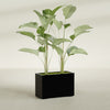 Tolga Large Rectangle Fiberglass Planter - 36 in x 16 in x 24 in - Gloss Black - Gloss Black,36 in x 16 in x 24 in