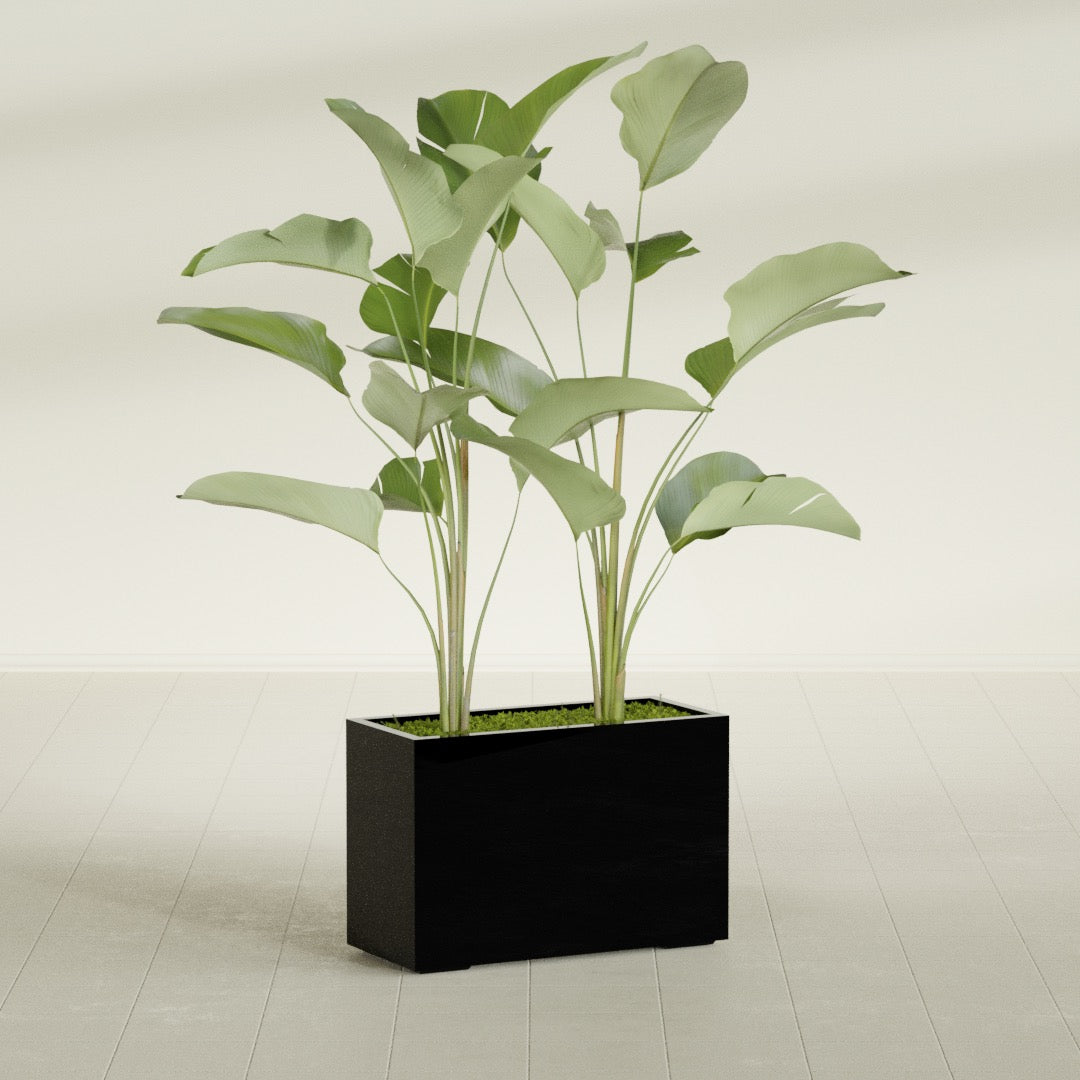 Tolga Large Rectangle Fiberglass Planter - 36 in x 16 in x 24 in - Gloss Black - Gloss Black,36 in x 16 in x 24 in