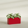 Miami Large Narrow Rectangle Fiberglass Planter - 36 in x 12 in x 18 in - Gloss Red - Gloss Red,36 in x 12 in x 18 in