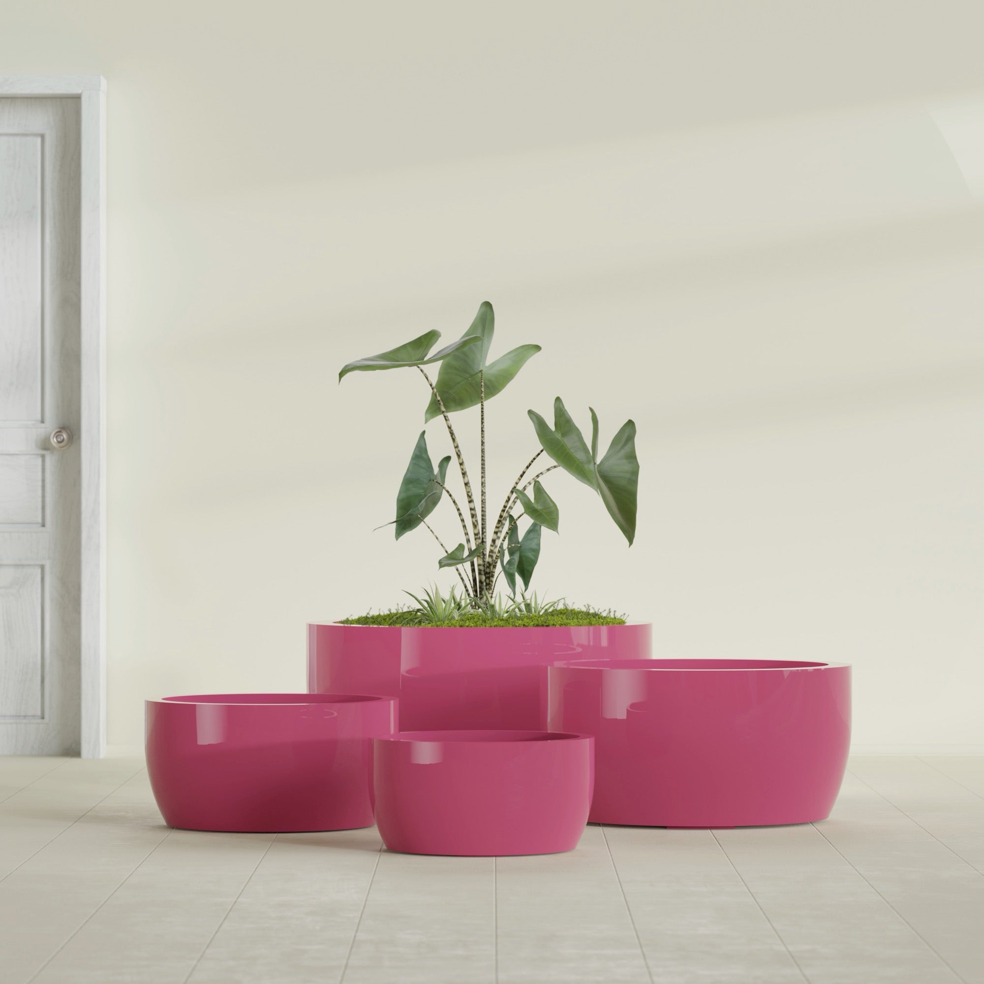 Casablanca Medium Round Low Bowl Fiberglass Planter - 20 in x 20 in x 10 in - Gloss Pink Violet - Gloss Pink Violet,20 in x 20 in x 10 in