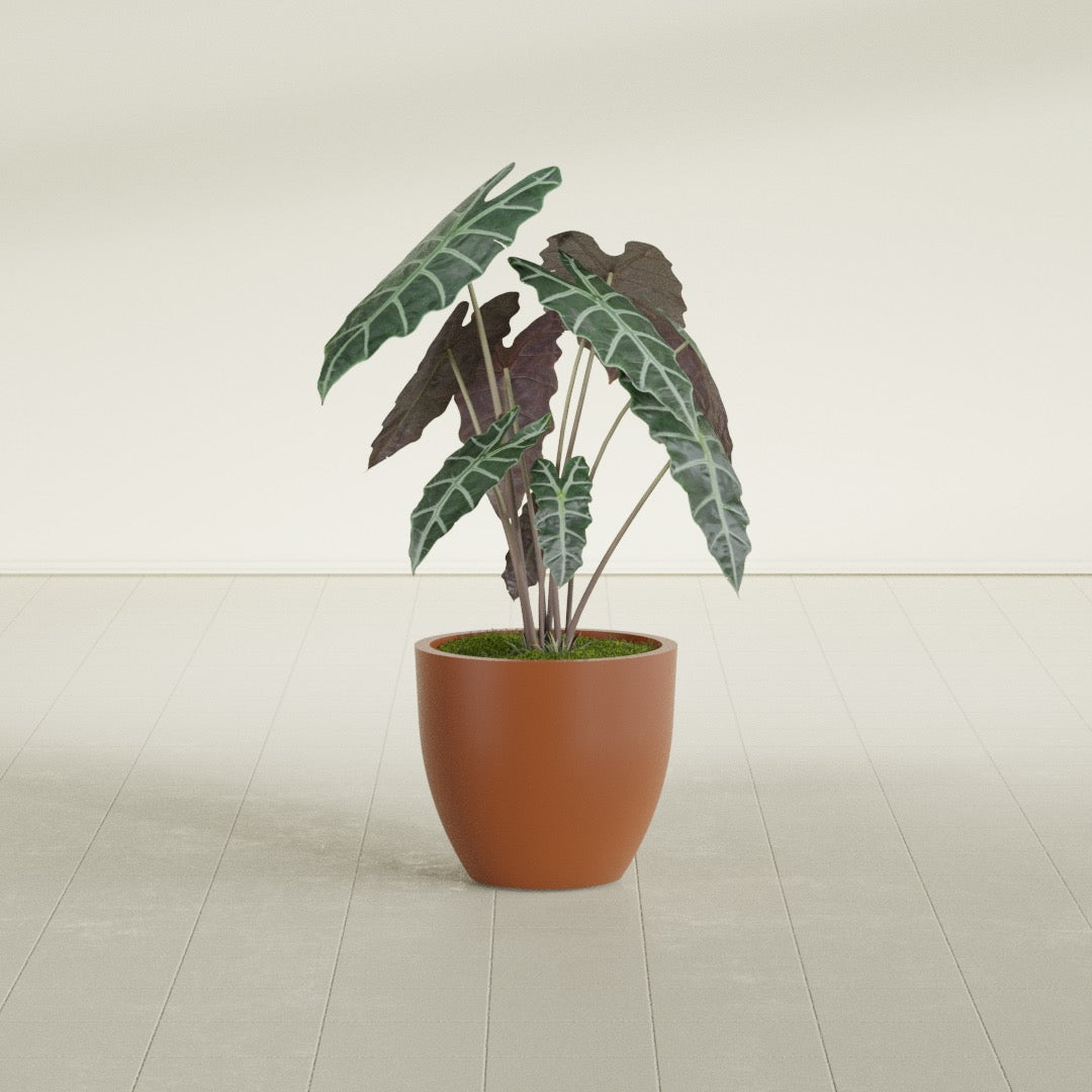 Wannsee Medium Round Fiberglass Planter - 22 in x 22 in x 19 in - Matte Terracotta - Matte Terracotta,22 in x 22 in x 19 in