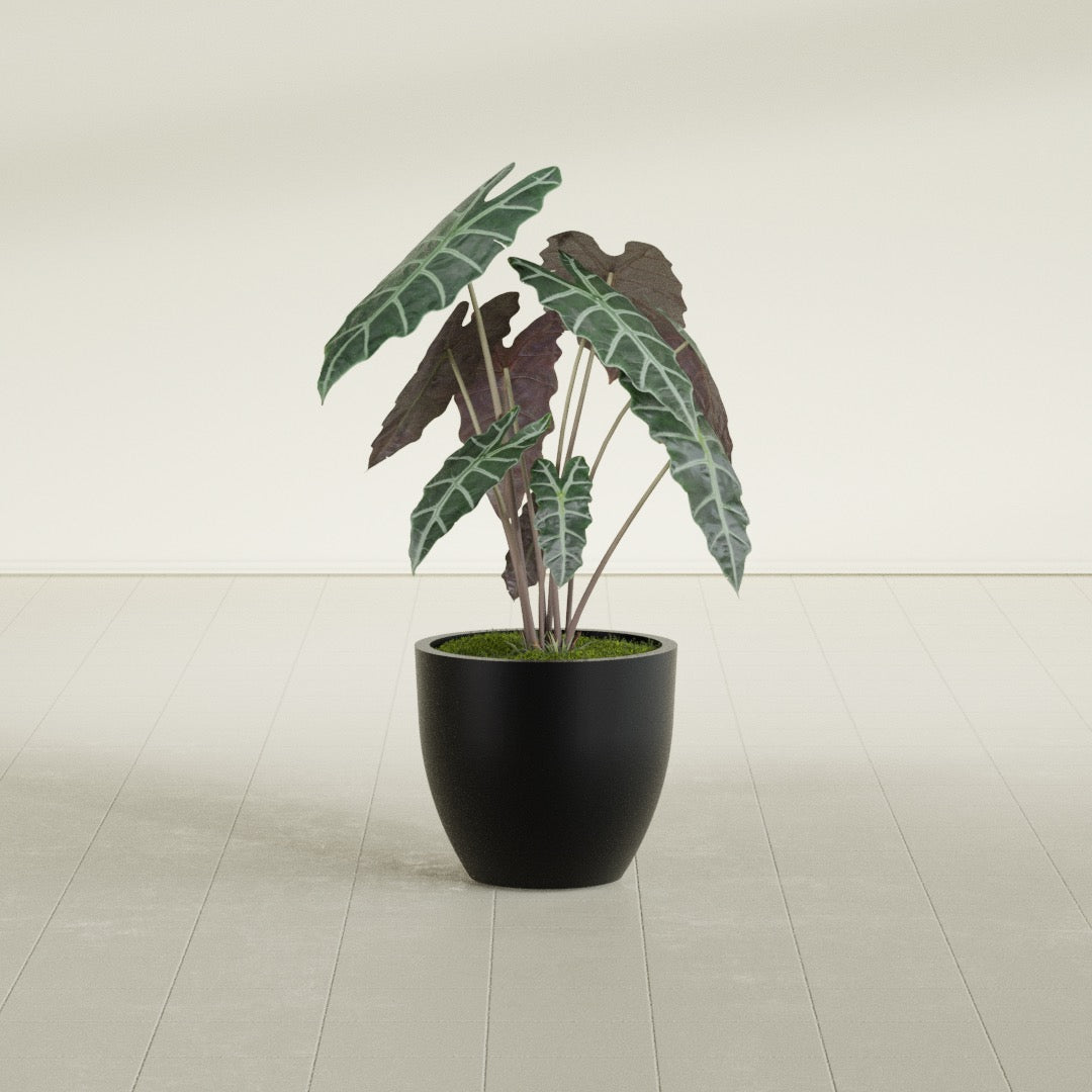 Wannsee Medium Round Fiberglass Planter - 22 in x 22 in x 19 in - Matte Black - Matte Black,22 in x 22 in x 19 in
