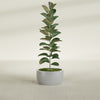 Casablanca Medium Round Low Bowl Fiberglass Planter - 20 in x 20 in x 10 in - Metallic Silver - Metallic Silver,20 in x 20 in x 10 in
