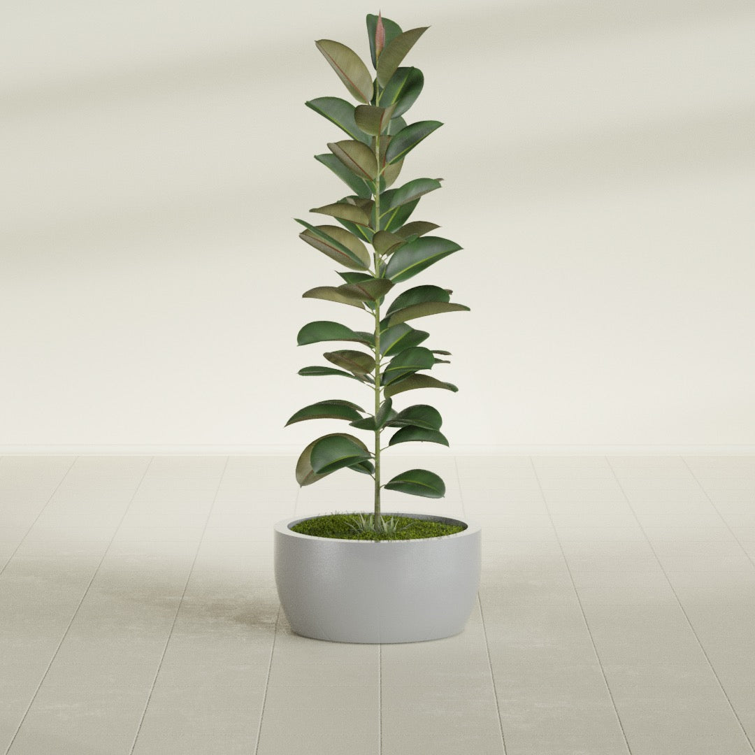 Casablanca Medium Round Low Bowl Fiberglass Planter - 20 in x 20 in x 10 in - Metallic Silver - Metallic Silver,20 in x 20 in x 10 in