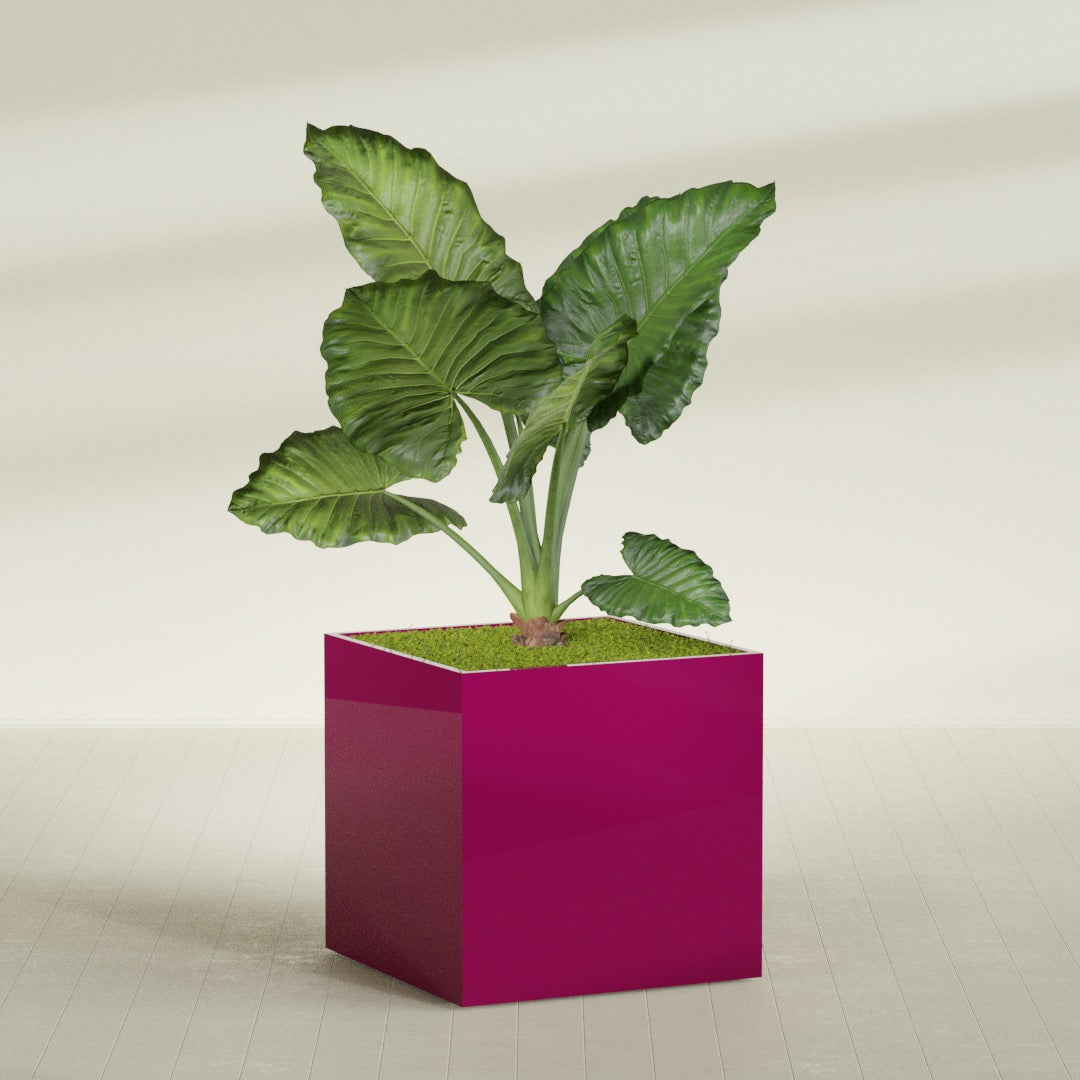 Montroy Extra Large Cube Square Fiberglass Planter - 48 in x 48 in x 48 in - Gloss Eggplant - Gloss Eggplant,48 in x 48 in x 48 in