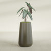 Saigon Large Tapered Round Planter - 16 in x 21 in x 36 in - Matte Bronze - Matte Bronze,16.4 in x 20.7 in x 36 in