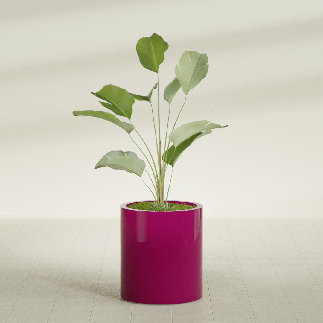 Rio Grande Medium Round Fiberglass Planter - 18 in x 18 in x 20 in - Gloss Eggplant - Gloss Eggplant,18 in x 18 in x 20 in