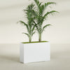 Potsdam Extra Large Long Rectangle Fiberglass Planter - 48 in x 16 in x 32 in - Gloss White - Gloss White,48 in x 16 in x 32 in