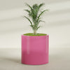 Rio Grande Large Round Fiberglass Planter - 30 in x 30 in x 32 in - Gloss Pink Violet - Gloss Pink Violet,30 in x 30 in x 32 in