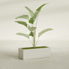 Cuba Large Long Rectangle Fiberglass Planter - 36 in x 14 in x 12 in - Satin Beige - Satin Beige,36 in x 14 in x 12 in