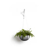 Hanging Brussels Small Bowl Planter - 13 in x 13 in x 6.5 in - Grey - Grey,13 in x 13 in x 6.5 in