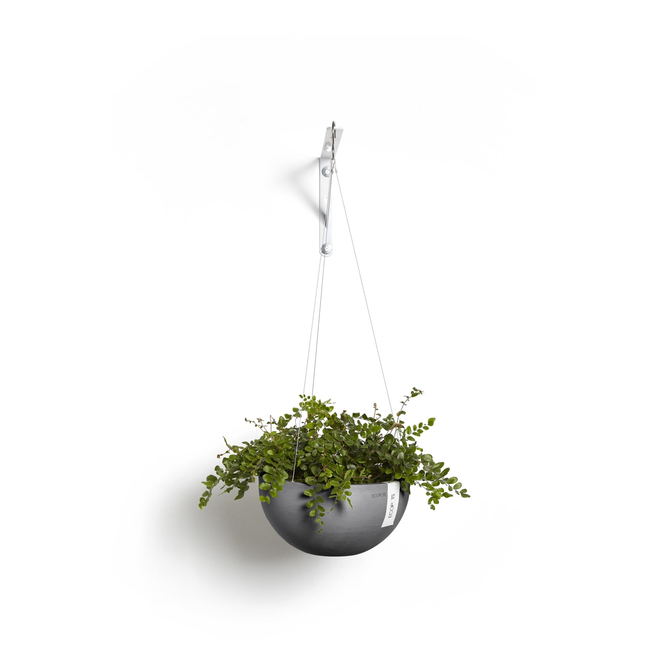 Hanging Brussels Small Bowl Planter - 13 in x 13 in x 6.5 in - Grey - Grey,13 in x 13 in x 6.5 in