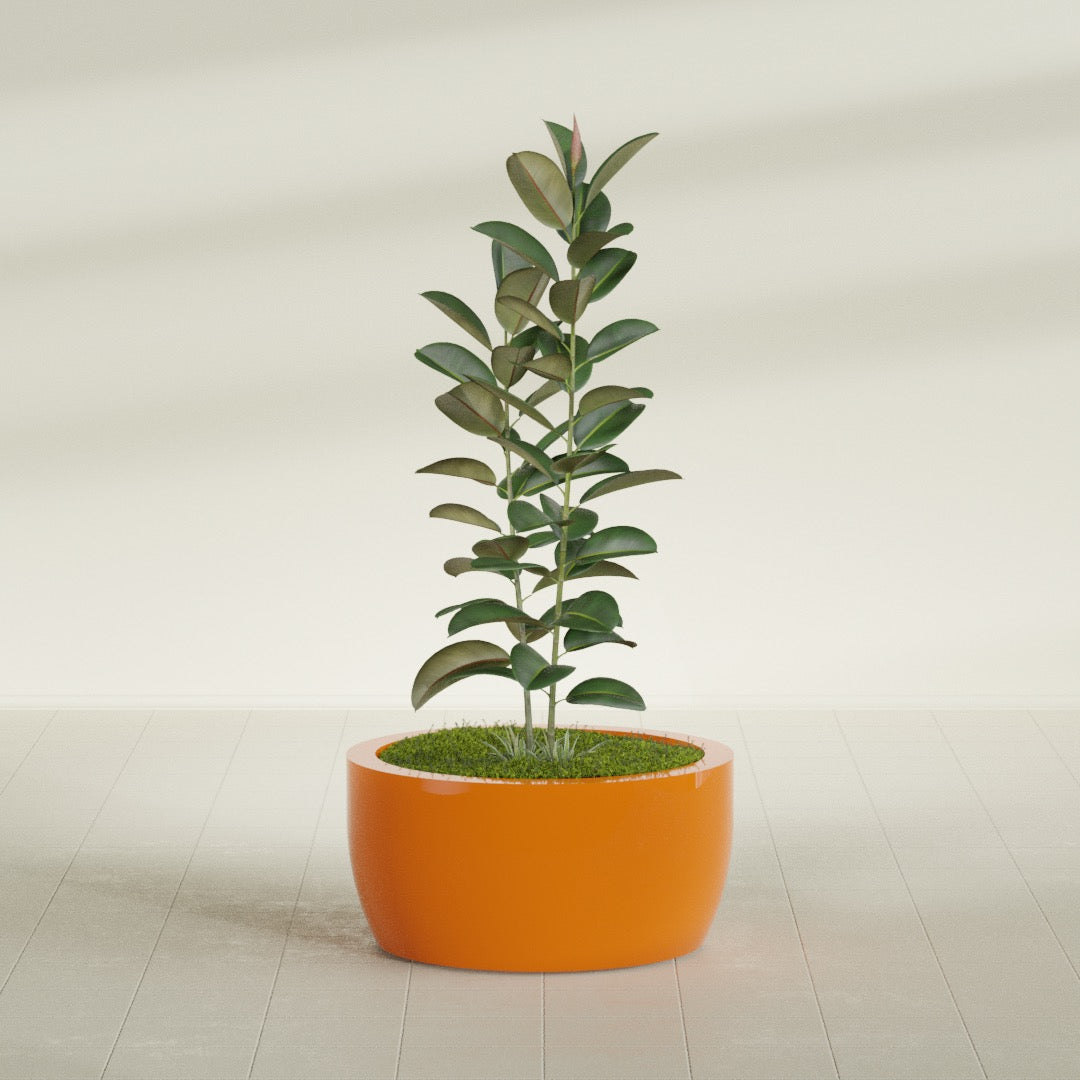 Casablanca Large Round Low Bowl Fiberglass Planter - 30 in x 30 in x 15 in - Gloss Tangerine - Gloss Tangerine,30 in x 30 in x 15 in
