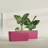 Panama Large Long Rectangle Fiberglass Planter - 36 in x 12 in x 18 in - Gloss Pink Violet - Gloss Pink Violet,36 in x 12 in x 18 in