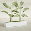 Cuba Extra Large Long Rectangle Fiberglass Planter - 60 in x 14 in x 12 in - Matte White - Matte White,60 in x 14 in x 12 in