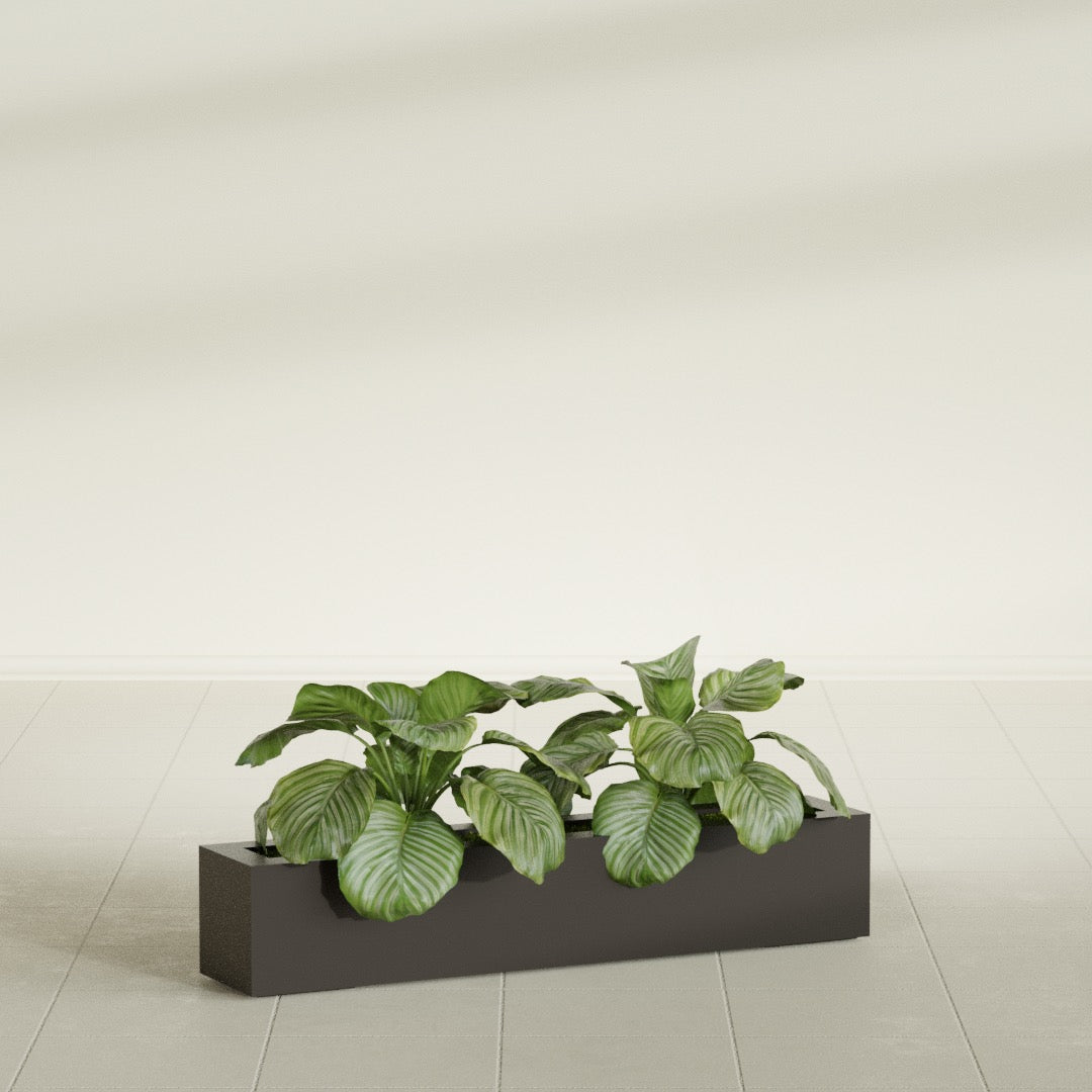 Salon Large Tall Rectangle Fiberglass Planter - 42 in x 8 in x 8 in - Matte Brown - Matte Brown,42 in x 8 in x 8 in