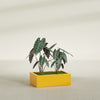Antwerp Large Long Rectangle Fiberglass Planter - 36 in x 24 in x 12 in - Gloss Saffron - Gloss Saffron,36 in x 24 in x 12 in