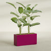 Tolga Extra Large Long Rectangle Fiberglass Planter - 48 in x 16 in x 24 in - Gloss Eggplant - Gloss Eggplant,48 in x 16 in x 24 in