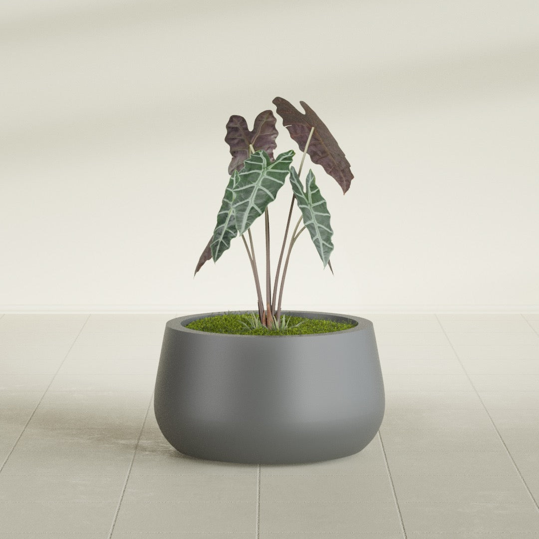 Short Hayden Small Round Fiberglass Planter - 16 in x 16 in x 8 in - Metallic Gunmetal - Metallic Gunmetal,16 in x 16 in x 8 in