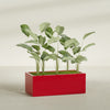 Torino Extra Large Wide Rectangle Fiberglass Planter - 48 in x 24 in x 18 in - Gloss Red - Gloss Red,48 in x 24 in x 18 in