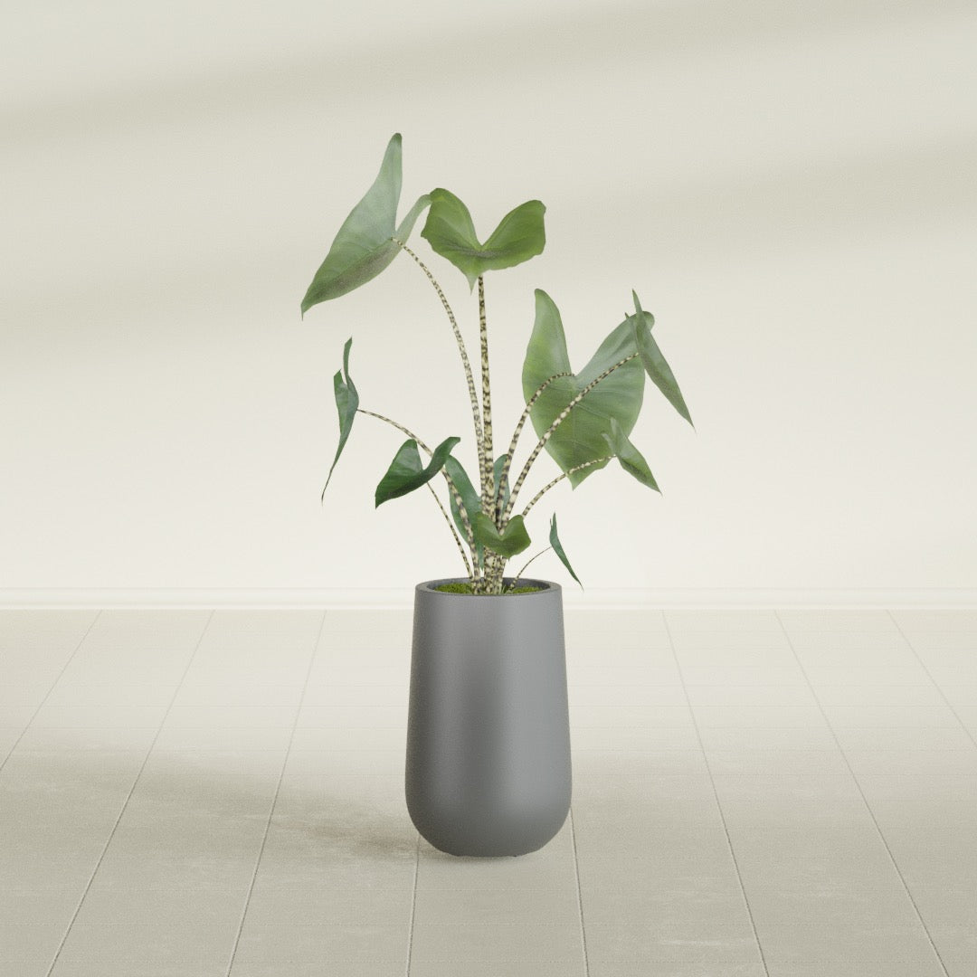 Tall Hayden Medium Round Fiberglass Planter - 18 in x 18 in x 29 in - Metallic Gunmetal - Metallic Gunmetal,18 in x 18 in x 29 in