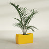 Seoul Large Curved Abstract Fiberglass Planter - 32 in x 12 in x 18 in - Gloss Saffron - Gloss Saffron,32 in x 12 in x 18 in