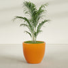 Wannsee Large Round Fiberglass Planter - 39 in x 39 in x 34 in - Gloss Tangerine - Gloss Tangerine,39 in x 39 in x 34 in