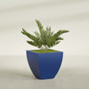 Lima Medium Tapered Square Fiberglass Planter - 24 in x 24 in x 24 in - Matte Cobalt Blue - Matte Cobalt Blue,24 in x 24 in x 24 in