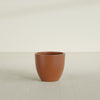 Wannsee Medium Round Fiberglass Planter - 27 in x 27 in x 24 in - Matte Terracotta - Matte Terracotta,27 in x 27 in x 24 in