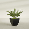 Lima Medium Tapered Square Fiberglass Planter - 20 in x 20 in x 20 in - Matte Black - Matte Black,20 in x 20 in x 20 in