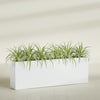 Hollywood Extra Large Narrow Rectangle Fiberglass Planter - 72 in x 12 in x 24 in - Matte White - Matte White,72 in x 12 in x 24 in