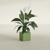 Montroy Small Cube Square Fiberglass Planter - 12 in x 12 in x 12 in - Satin Green - Satin Green,12 in x 12 in x 12 in