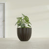 Santa Barbara Medium Round Fiberglass Planter - 23 in x 23 in x 20.3 in - Matte Brown - Matte Brown,23 in x 23 in x 20 in