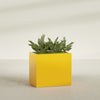 Brisbane Large Rectangle Fiberglass Planter - 36 in x 24 in x 32 in - Gloss Saffron - Gloss Saffron,36 in x 24 in x 32 in