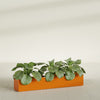 Salon Large Tall Rectangle Fiberglass Planter - 48 in x 8 in x 8 in - Gloss Tangerine - Gloss Tangerine,48 in x 8 in x 8 in