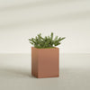 Brisbane Large Rectangle Fiberglass Planter - 24 in x 24 in x 32 in - Matte Terracotta - Matte Terracotta,24 in x 24 in x 32 in