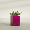 Brisbane Large Rectangle Fiberglass Planter - 24 in x 24 in x 32 in - Gloss Eggplant - Gloss Eggplant,24 in x 24 in x 32 in