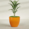 Wannsee Extra Large Round Fiberglass Planter - 50 in x 50 in x 44 in - Gloss Tangerine - Gloss Tangerine,50 in x 50 in x 44 in