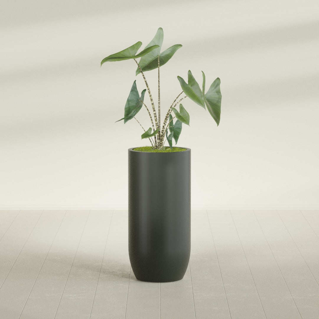 Saint Tropez Extra Large Tall Round Fiberglass Planter - 24 in x 24 in x 50 in - Matte Charcoal - Matte Charcoal,24 in x 24 in x 50 in