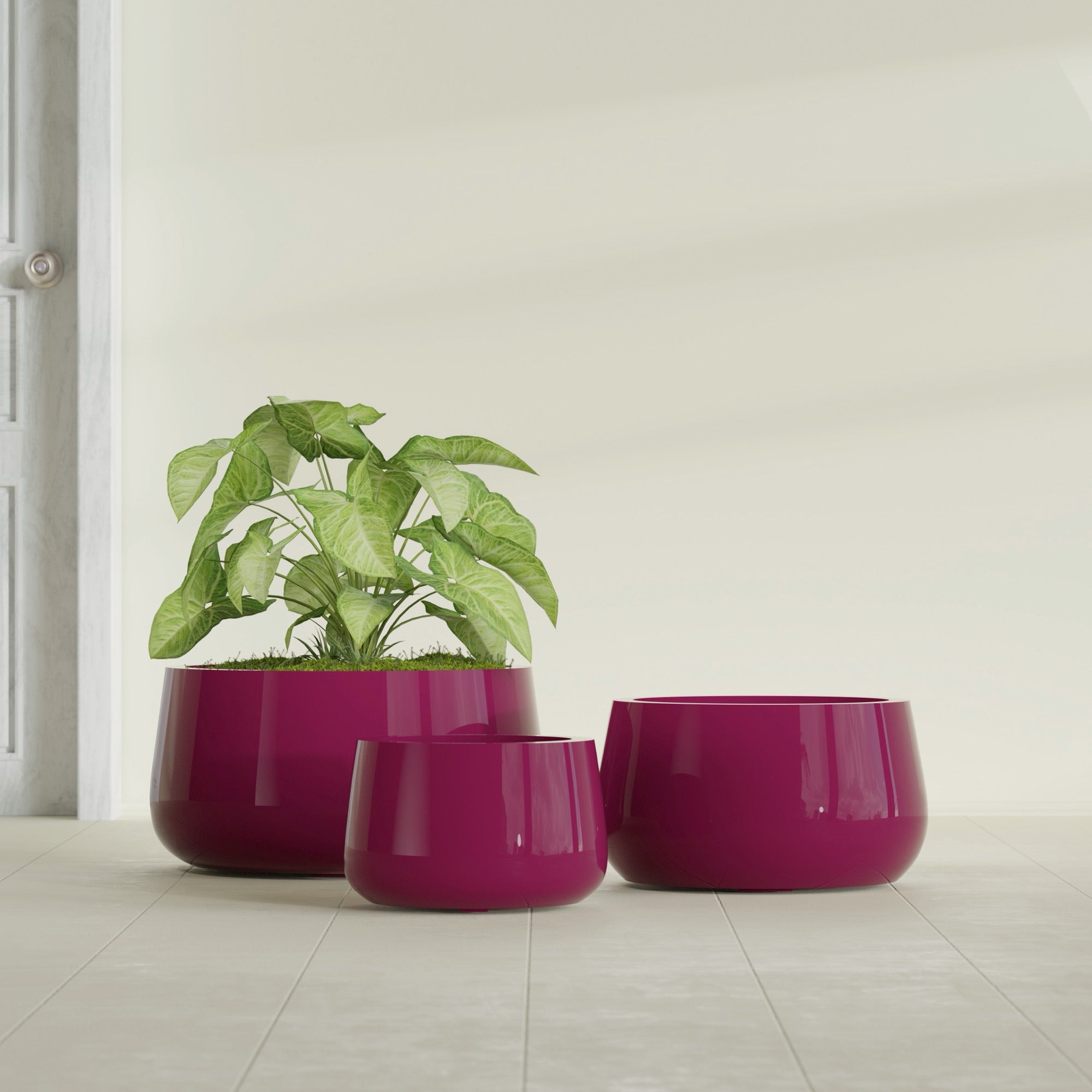 Short Hayden Small Round Fiberglass Planter - 12 in x 12 in x 7 in - Gloss Eggplant - Gloss Eggplant,12 in x 12 in x 7 in