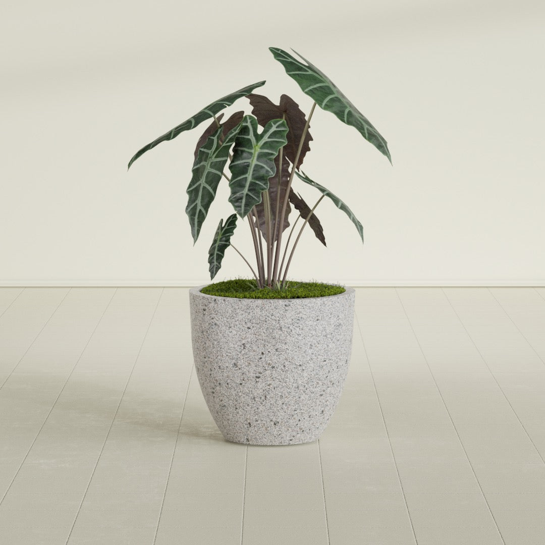 Tapered Round - 27in diam. x 24in - StoneLight - Greystone - StoneLight - Greystone,27 in x 27 in x 24 in