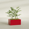 Torino Large Wide Rectangle Fiberglass Planter - 36 in x 24 in x 18 in - Gloss Red - Gloss Red,36 in x 24 in x 18 in