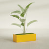 Cuba Large Long Rectangle Fiberglass Planter - 36 in x 14 in x 12 in - Gloss Saffron - Gloss Saffron,36 in x 14 in x 12 in