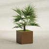 Montroy Large Cube Square Fiberglass Planter - 32 in x 32 in x 32 in - Metallic Bronze - Metallic Bronze,32 in x 32 in x 32 in