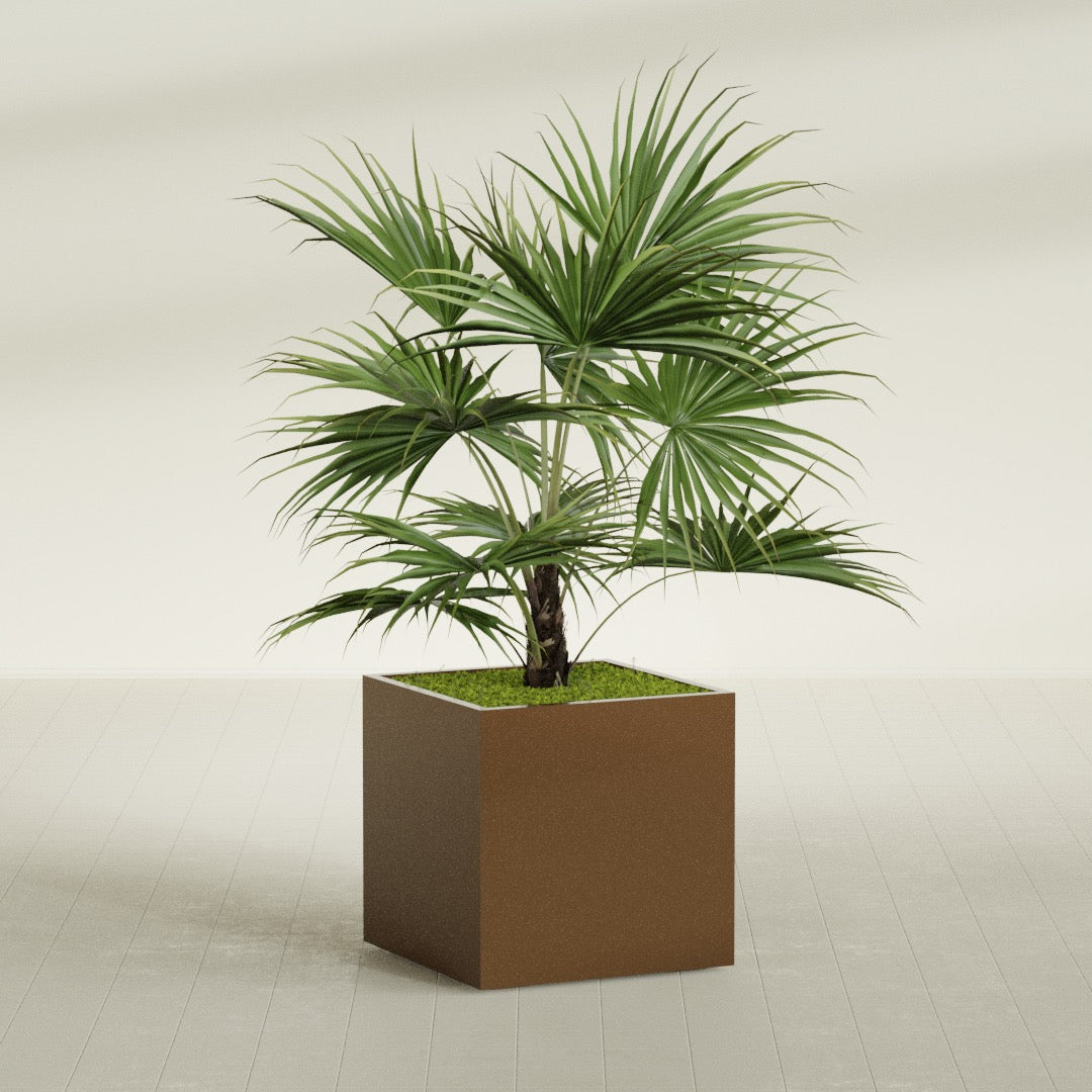 Montroy Large Cube Square Fiberglass Planter - 32 in x 32 in x 32 in - Metallic Bronze - Metallic Bronze,32 in x 32 in x 32 in