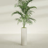 Corry Large Tall Cylinder Fiberglass Planter - 10 in x 10 in x 30 in - Satin Beige - Satin Beige,10 in x 10 in x 30 in