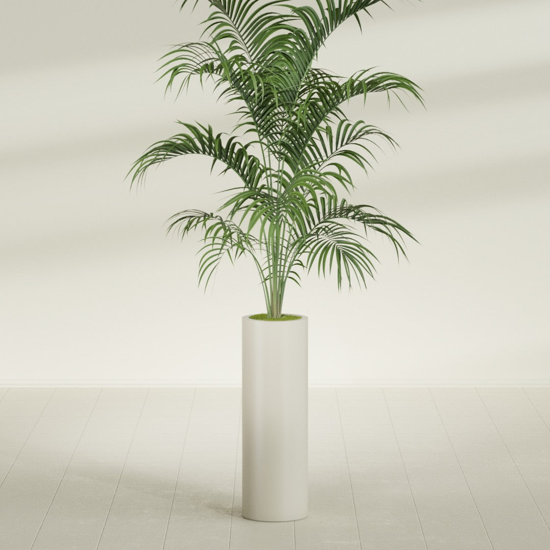 Corry Large Tall Cylinder Fiberglass Planter - 10 in x 10 in x 30 in - Satin Beige - Satin Beige,10 in x 10 in x 30 in