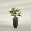 Brannan Medium Round Fiberglass Planter - 18 in x 18 in x 29 in - Matte Brown - Matte Brown,18 in x 18 in x 29 in